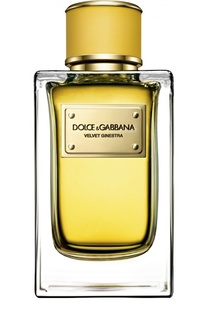 Парфюмерная вода Velvet Collection Ginestra Dolce &amp; Gabbana