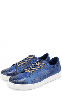 Кеды из кожи крокодила на шнуровке Dami