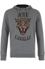 Категория: Худи мужские Just Cavalli