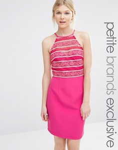 Облегающее платье с высокой горловиной и кружевом Paper Dolls Petite - Розовый