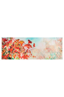 Палантин Eleganzza