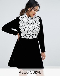 Бархатное платье с контрастным кружевом и юбкой-трапецией ASOS CURVE - Черный