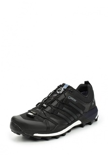 Кроссовки adidas Performance TERREX SKYCHASER GTX