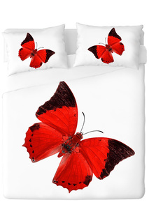 Постельное белье 2 сп. 4нав OTHER