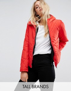 Укороченная дутая куртка с капюшоном Noisy May Tall - Красный