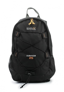 Рюкзак Regatta Survivor III 25L