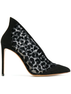 Leo Net pumps Francesco Russo