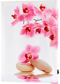 Картина со светодиодной подсветкой Орхидея (розовый/белый) Bonprix