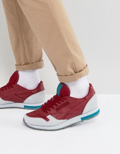 Серые кожаные кроссовки Reebok Classic - Красный