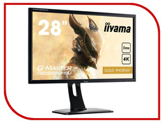Монитор iiyama G-Master GB2888UHSU-B1 Black