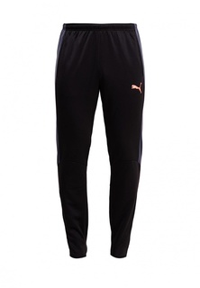 Брюки спортивные Puma evoTRG Pant