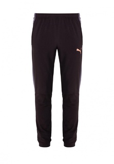 Брюки спортивные Puma evoTRG Winter Pant