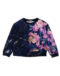 Толстовка Msgm