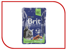 Корм Brit Chicken 100g для кошек 100310/6323 Brit*