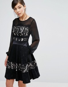 Короткое приталенное платье с кружевом Coast Delphina - Черный