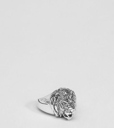 Серебряное кольцо со львом ASOS - Серебряный