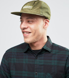 6-панельная кепка Mitchell & Ness эксклюзивно для ASOS - Зеленый