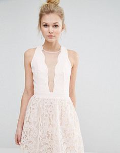 Короткое приталенное платье с сетчатой вставкой и кружевом Little Mistress Petite - Розовый