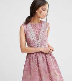 Кружевное приталенное платье без рукавов Little Mistress Petite - Розовый