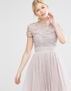 Платье мини с короткими рукавами, тюлевой юбкой и кружевным лифом Little Mistress Petite - Розовый