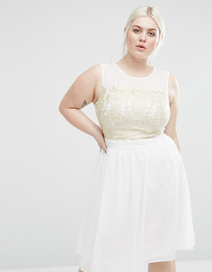 Короткое приталенное платье с кружевной вставкой Lovedrobe Plus - Кремовый