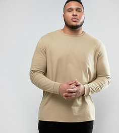 Бежевый длинный лонгслив ASOS PLUS - Бежевый