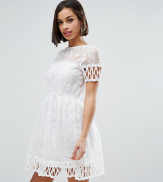 Короткое приталенное платье с вышивкой Boohoo Petite - Белый