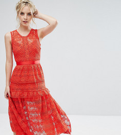 Кружевное короткое приталенное платье для выпускного True Decadence Petite - Красный