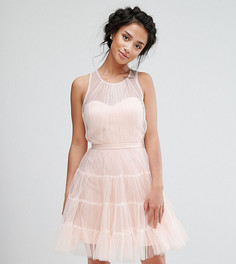 Тюлевое ярусное платье мини для выпускного Little Mistress Petite - Розовый