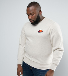 Свитшот с маленьким логотипом Ellesse PLUS - Светло-серый