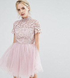 Платье мини с кружевным топом и тюлевой юбкой Chi Chi London Petite - Розовый