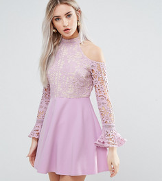 Кружевное короткое приталенное платье с открытыми плечами Missguided Petite - Фиолетовый