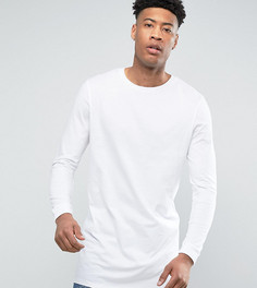 Длинный белый лонгслив с круглым вырезом ASOS TALL - Белый