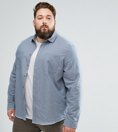 Синяя рубашка навыпуск ASOS PLUS - Синий