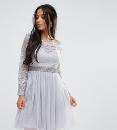 Короткое приталенное платье для выпускного с кружевным топом и открытыми плечами Little Mistress Petite - Серый