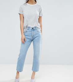 Светлые прямые джинсы ASOS PETITE FLORENCE Authentic Cambridge - Синий