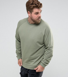 Зеленый свитшот ASOS PLUS - Зеленый