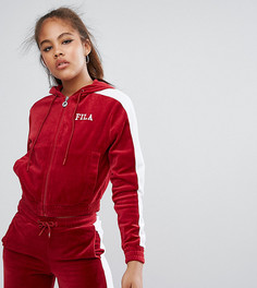 Велюровый худи на молнии с полосками Fila Tall - Красный