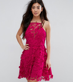 Ажурное приталенное платье New Look Petite - Розовый