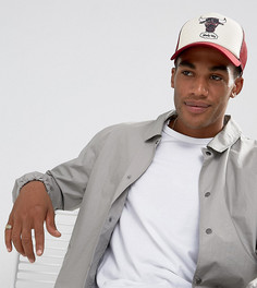 Состаренная кепка Mitchell & Ness Chicago Bulls эксклюзивно для ASOS - Красный