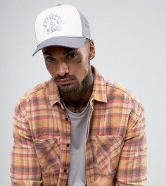 Кепка Mitchell & Ness Toronto Raptors эксклюзивно для ASOS - Серый