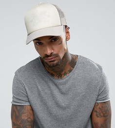 Кепка Mitchell & Ness Michigan эксклюзивно для ASOS - Бежевый