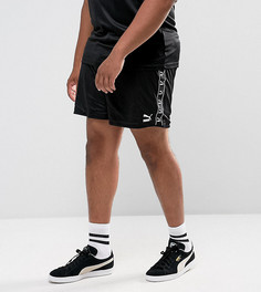Черные шорты в стиле ретро Puma PLUS эксклюзивно для ASOS 57658003 - Черный