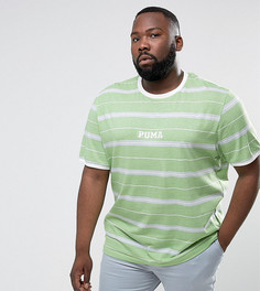 Зеленая футболка в полоску в стиле ретро Puma PLUS эксклюзивно для ASOS 57658601 - Зеленый
