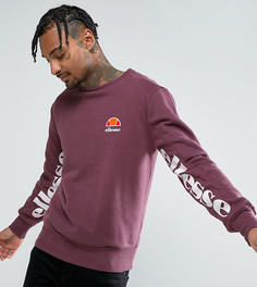 Фиолетовый свитшот с принтом Ellesse - Фиолетовый