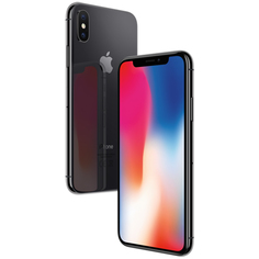 Смартфон Apple iPhone X 64GB Space Grey (MQAC2RU/A)