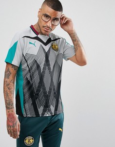 Серая спортивная футболка Puma x Daily Paper 57417039 - Серый