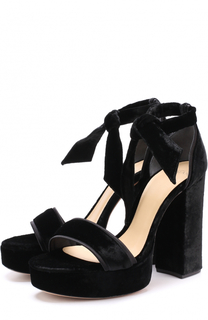 Бархатные босоножки Celine на устойчивом каблуке Alexandre Birman