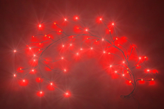 Гирлянда Kaemingk Вишенки 483671