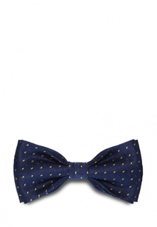 Бабочка Stefano Danotelli